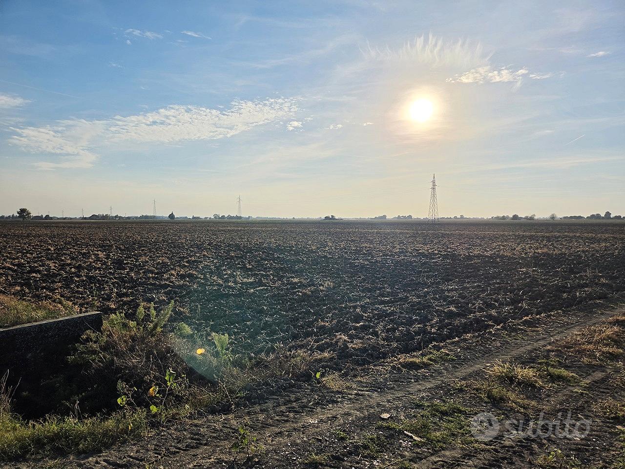 Terreno Agricolo 8,5Ha Irrigabile Copparo - Vista 2