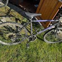 Bicicletta MTB