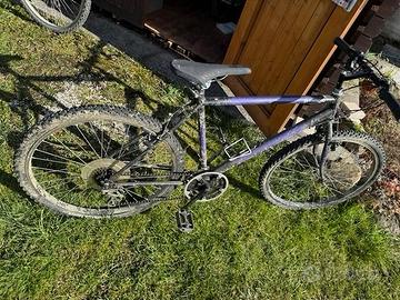Bicicletta MTB