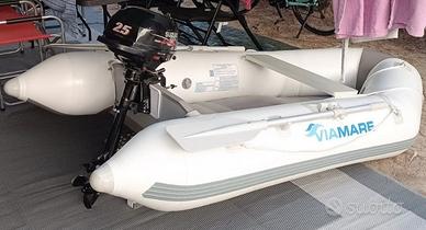 tender 250 omologato CE