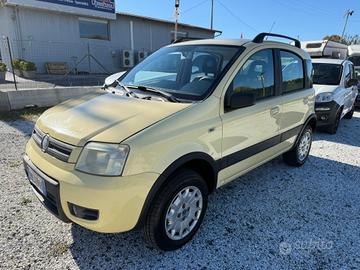 Fiat Panda 1.2 Benzina 4x4 Climbing