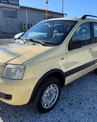 Fiat Panda 1.2 Benzina 4x4 Climbing
