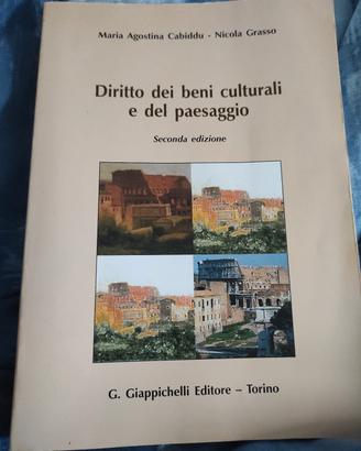Diritto dei beni culturali e del paesaggio 