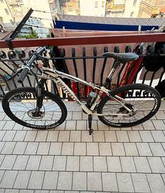 Bici Bottecchia FX 135