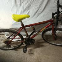 Mountabike Bicicletta