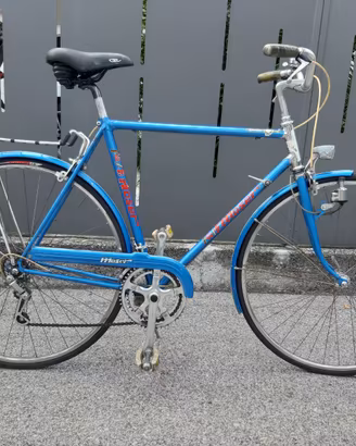 bici da uomo