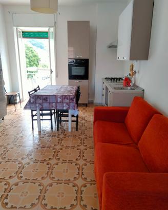 Ampio appartamento in centro settembre/giugno