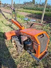 Motocoltivatore Goldoni Jolly 58i