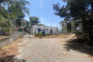 Stabile/Palazzo Casamassima [Cod. rif 3334064VRG]