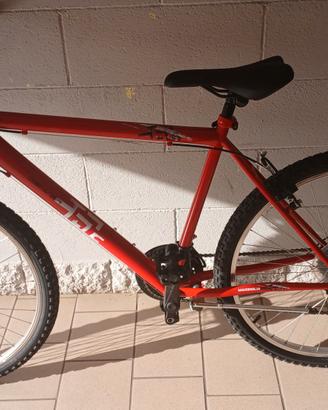 Bicicletta Mtb