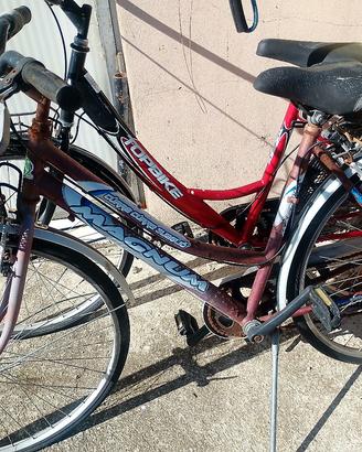 biciclette 