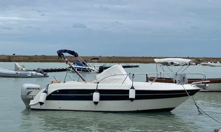 Italmar Summer 23 WA