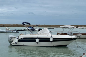 Italmar Summer 23 WA