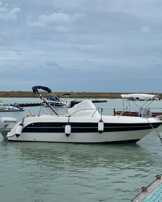 Italmar Summer 23 WA