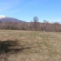 Vendita terreno agricolo