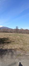 Vendita terreno agricolo