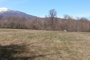 Vendita terreno agricolo