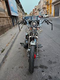scoter