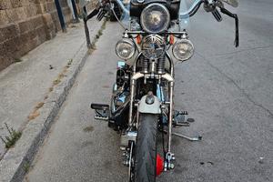 scoter
