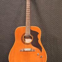 chitarra acustica vintage EKO Ranger VI Made in Ii