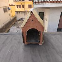 Cuccia per cani