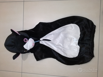 Costume carnevale gattino
