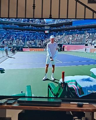 LG OLED CX 55"–perfette condizioni–neri assoluti