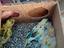 Immagine 1