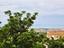 Immagine 25