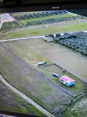 Terreno agricolo con prefabbricato