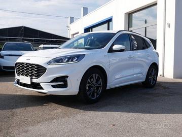 Ford Kuga 1.5 ecoblue ST-Line 2wd 120cv