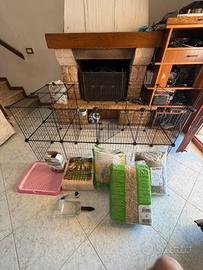 Gabbia per coniglio + accessori