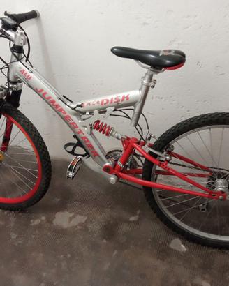 Bicicletta Mountain bike
