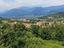 Immagine 15