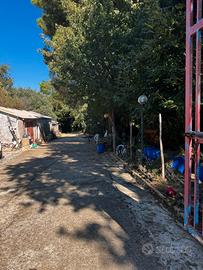 TERRENO AGRICOLO CONTRADA LACCO , GIRIFALCO CZ