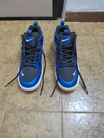 Nike Air Force II Low SB Drenched Blue