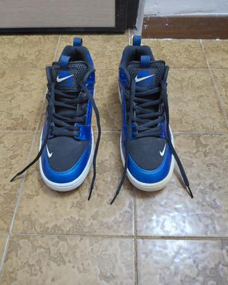 Nike Air Force II Low SB Drenched Blue