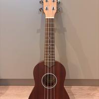 Ukulele Soprano Eko