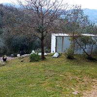 Terreno co uliveto