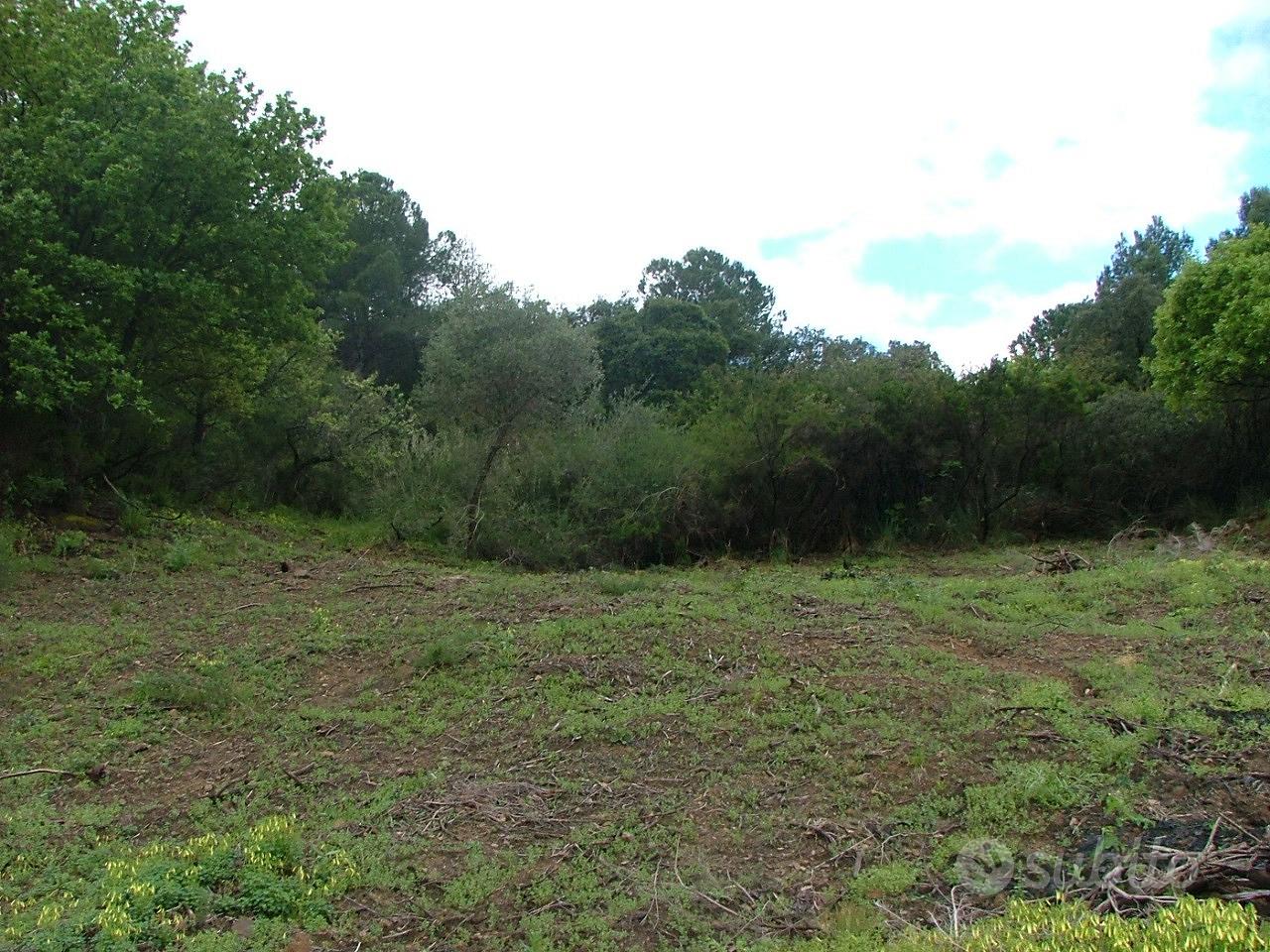 Vendita terreno sito in C.da Mandrie Cefalù - Vista 3