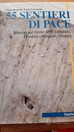 libro 55 sentieri di pace Zanichelli