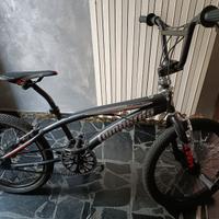 Bmx Lombardo Isernia