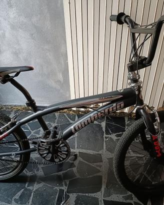 Bmx Lombardo Isernia