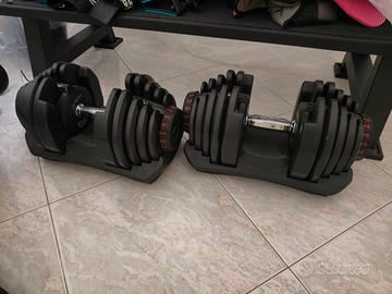 coppia manubri da 40kg