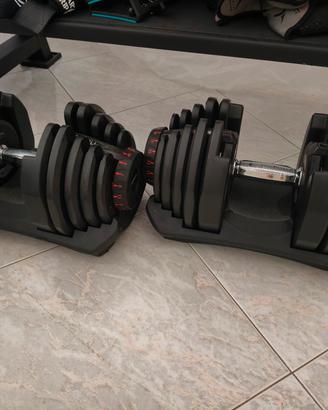 coppia manubri da 40kg