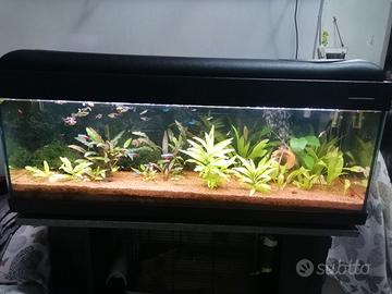 Acquario 120litri