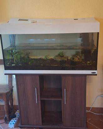 Acquario Askoll
