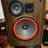 Cervin Vega A123
