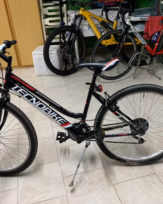 Bicicletta tecnobike