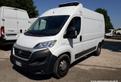 FIAT Ducato MH2 FRIGO FNAX GARANZIA [FR49]